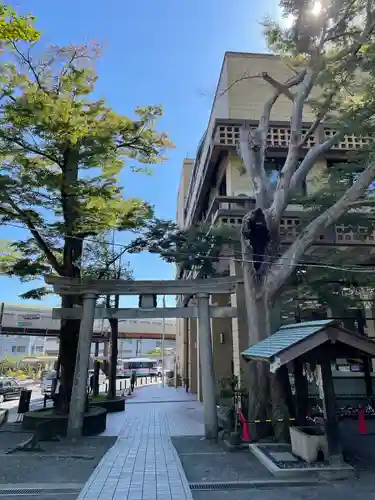 亀岡八幡宮（亀岡八幡神社）の鳥居