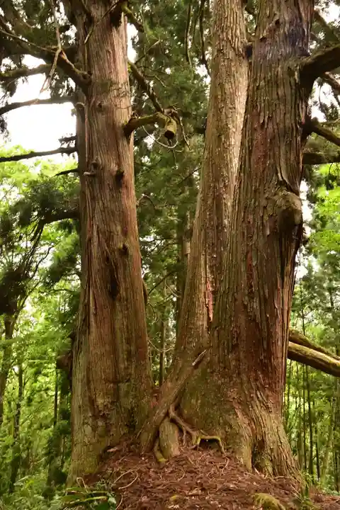 白山中居神社(岐阜県)