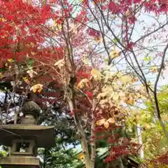 彌彦神社　(伊夜日子神社)(北海道)