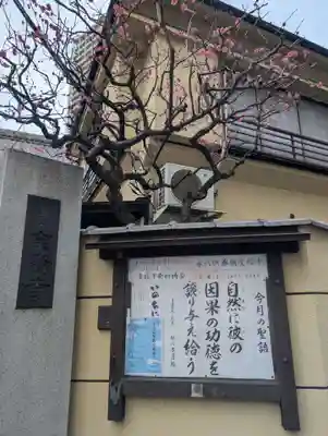 宗賢寺(東京都)