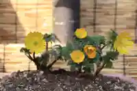 阿邪訶根神社のその他建物