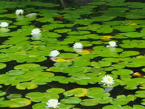 平安神宮(京都府)