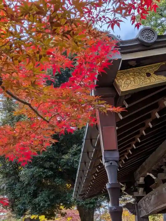 妙法寺(東京都)