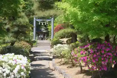 開成山大神宮の末社・摂社
