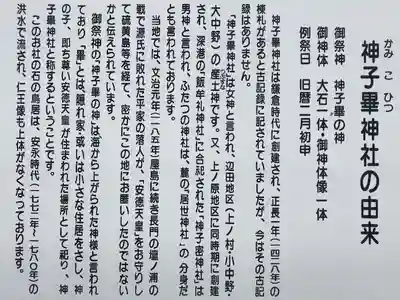 神子畢神社の歴史