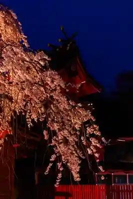 富士山本宮浅間大社(静岡県)