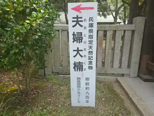 伊弉諾神宮(兵庫県)