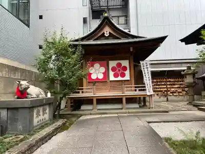 櫻天神社の本殿・本堂