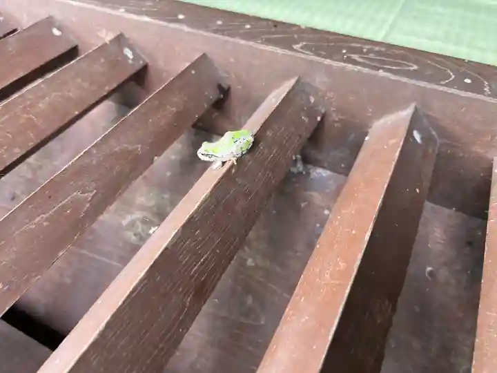 菱野健功神社の動物