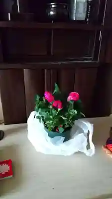 七尾神社の授与品その他