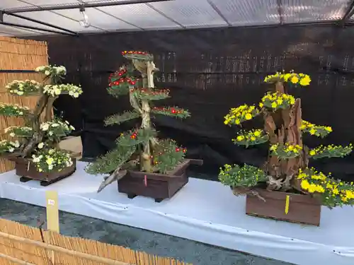 宗像大社の自然