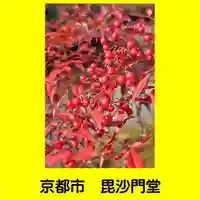 毘沙門堂門跡(京都府)