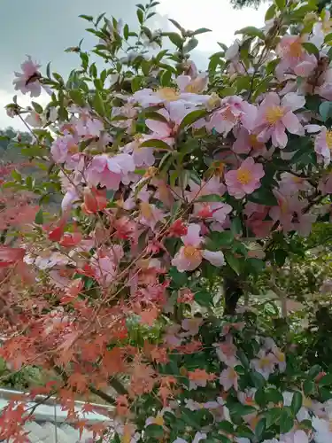 三室戸寺(京都府)