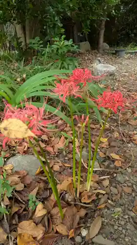 平野神社(京都府)