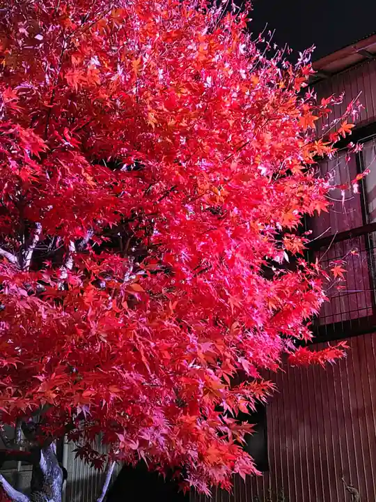 大山阿夫利神社(神奈川県)