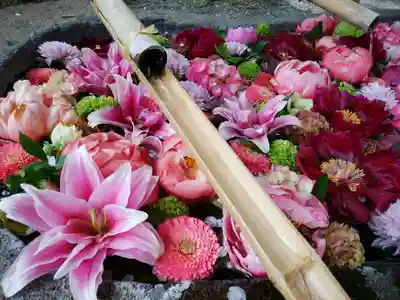 千歳神社の手水舎