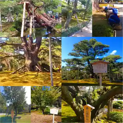 寿量山 速成寺(奈良県)