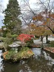 富士山本宮浅間大社(静岡県)