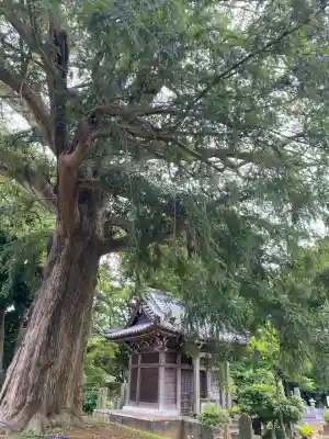 東源寺(千葉県)