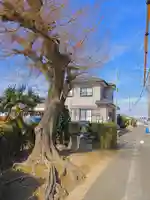 斎宮司神社(愛知県)