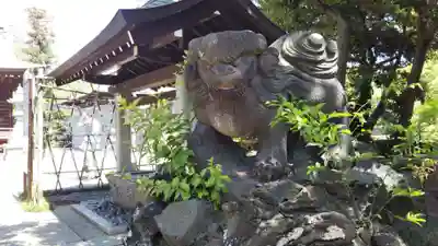 菊田神社の狛犬