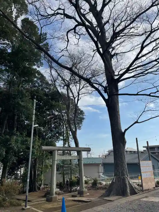 春日神社の{uncategorized: "未分類", other: "その他", undefined: "問題あり", building: "その他建物", grave: "お墓", sacred_gate: "鳥居", guardian: "狛犬", statue: "像", buddha: "仏像", history: "歴史", nature: "自然", garden: "庭園", animal: "動物", pagoda: "塔", temizu: "手水舎", mountain_gate: "山門・神門", sanctuary: "本殿・本堂", subordinate: "末社・摂社", art: "芸術", scenery: "景色", jizo: "地蔵", ema: "絵馬", goshuin: "御朱印", omikuji: "おみくじ", items: "授与品その他", amulet: "お守り", goshuincho: "御朱印帳", eats: "食事", festival: "お祭り", votive_dance: "神楽", shichigosan: "七五三参", wedding: "結婚式", experience: "体験その他", initially: "初詣", around: "周辺", anti_infection: "感染症対策"}