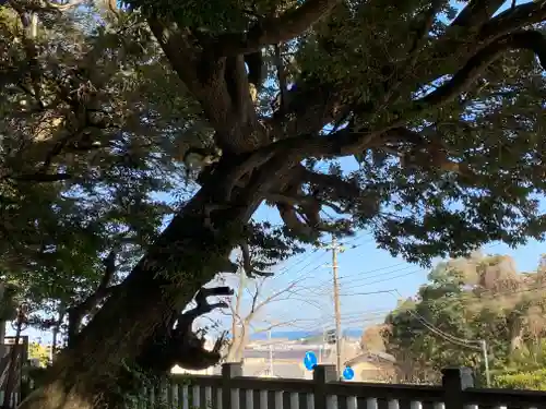 大甕神社の景色