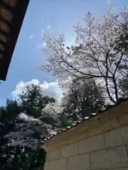 滑川神社 - 仕事と子どもの守り神の建物その他