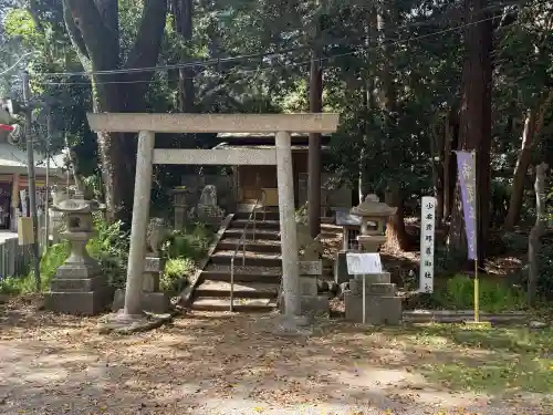 松阪神社の{uncategorized: "未分類", other: "その他", undefined: "問題あり", building: "その他建物", grave: "お墓", sacred_gate: "鳥居", guardian: "狛犬", statue: "像", buddha: "仏像", history: "歴史", nature: "自然", garden: "庭園", animal: "動物", pagoda: "塔", temizu: "手水舎", mountain_gate: "山門・神門", sanctuary: "本殿・本堂", subordinate: "末社・摂社", art: "芸術", scenery: "景色", jizo: "地蔵", ema: "絵馬", goshuin: "御朱印", omikuji: "おみくじ", items: "授与品その他", amulet: "お守り", goshuincho: "御朱印帳", eats: "食事", festival: "お祭り", votive_dance: "神楽", shichigosan: "七五三参", wedding: "結婚式", experience: "体験その他", initially: "初詣", around: "周辺", anti_infection: "感染症対策"}