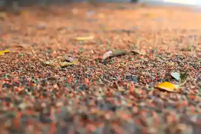 三津厳島神社(愛媛県)