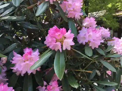 古知谷阿弥陀寺の自然