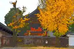 本願寺（西本願寺）の本殿