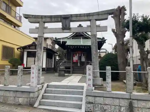 塩釜神社（鹽竈神社）の鳥居