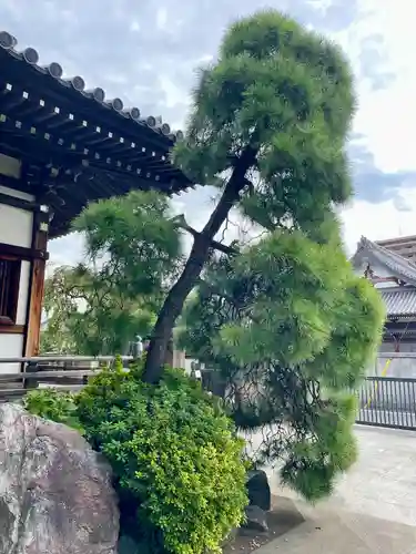 自性院(東京都)
