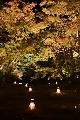 宝厳院(京都府)