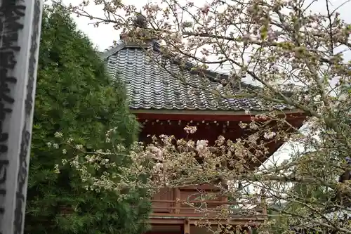 赤堂観音の自然