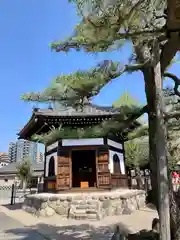 観音寺の建物その他