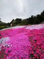 若杉稲荷大明神(兵庫県)