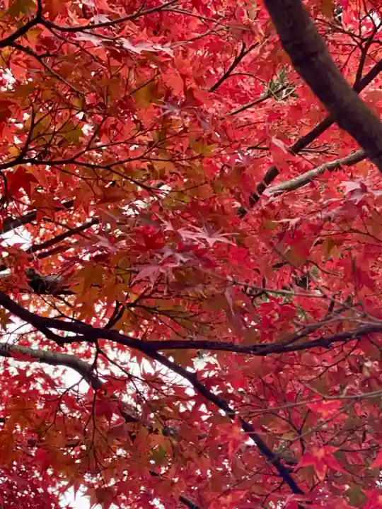 月橋院(京都府)