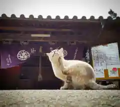 縣主神社の動物