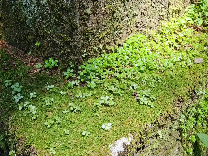 赤城神社(三夜沢町)(群馬県)