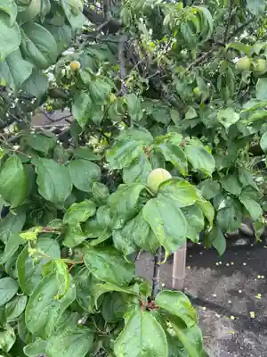 興禅寺(愛知県)