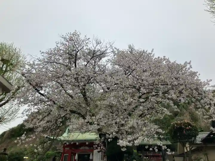 元町厳島神社の{uncategorized: "未分類", other: "その他", undefined: "問題あり", building: "その他建物", grave: "お墓", sacred_gate: "鳥居", guardian: "狛犬", statue: "像", buddha: "仏像", history: "歴史", nature: "自然", garden: "庭園", animal: "動物", pagoda: "塔", temizu: "手水舎", mountain_gate: "山門・神門", sanctuary: "本殿・本堂", subordinate: "末社・摂社", art: "芸術", scenery: "景色", jizo: "地蔵", ema: "絵馬", goshuin: "御朱印", omikuji: "おみくじ", items: "授与品その他", amulet: "お守り", goshuincho: "御朱印帳", eats: "食事", festival: "お祭り", votive_dance: "神楽", shichigosan: "七五三参", wedding: "結婚式", experience: "体験その他", initially: "初詣", around: "周辺", anti_infection: "感染症対策"}