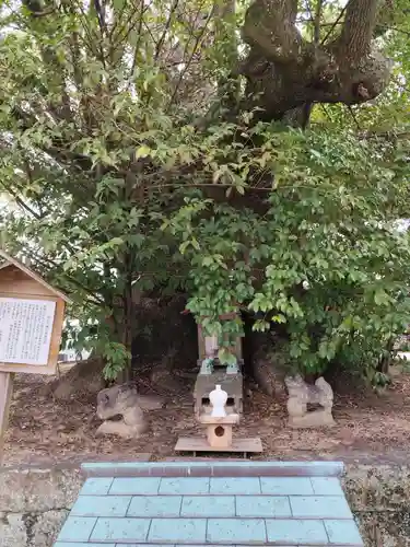 闘鶏神社(和歌山県)