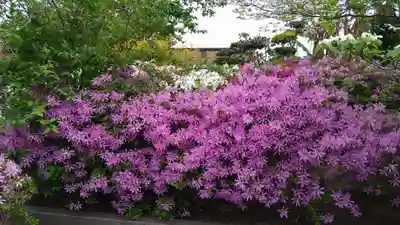 法雲寺(大阪府)