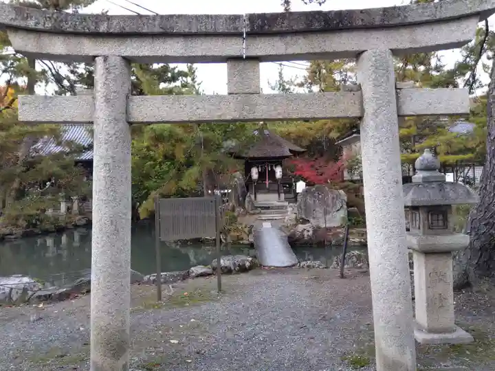 長浜八幡宮(滋賀県)