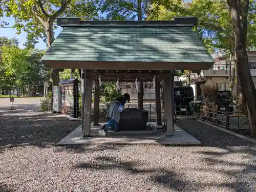 新琴似神社の手水