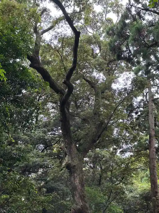 鹿島神宮(茨城県)