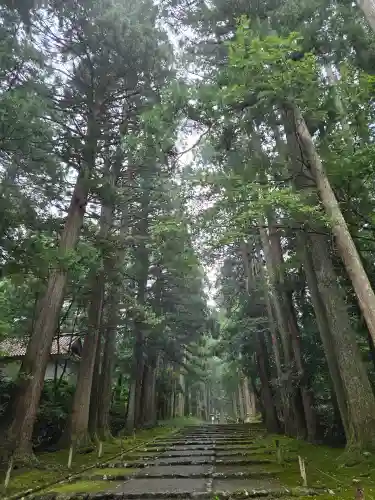 平泉寺白山神社(福井県)