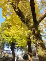 菅原神社(熊本県)